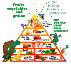 Piramida Makanan 4 sehat 5 sempurna!